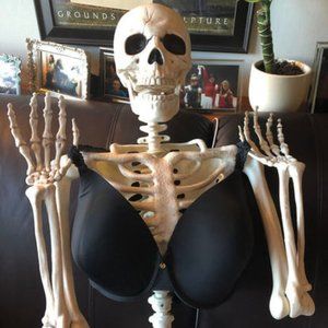 36G Dark Gray Natori Bra